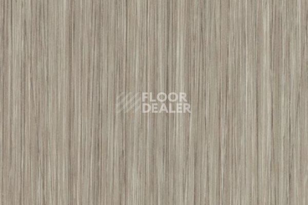 Виниловая плитка ПВХ FORBO Allura Click Pro 61253CL5 oyster seagrass фото 1 | FLOORDEALER